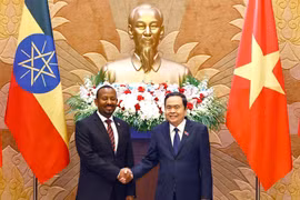 El presidente de la Asamblea Nacional, Tran Thanh Man, y el primer ministro de Etiopía, Abiy Ahmed Ali (Fuente: VNA)