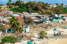 La playa de Xuan Thanh en la provincia de Gia Lai quedó devastada tras el paso de la tormenta Kalmaegi. Foto: Periódico Lao Dong