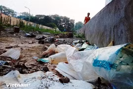 Foto ilustrativa (Fuente: VietnamPlus)