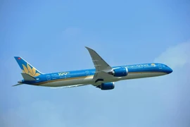 Un avión de Vietnam Airlines (Fuente: VNA)