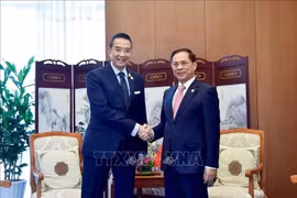 El vicepremier y canciller de Vietnam, Bui Thanh Son y el canciller de Tailandia, Maris Sangiampongsa (Fuente: VNA)