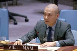 El consejero ministro Nguyen Hoang Nguyen (Fuente: VNA)