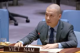 El consejero ministro Nguyen Hoang Nguyen (Fuente: VNA)