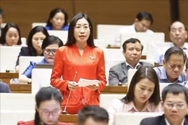 La diputada Hoang Thi Thanh Thuy (Fuente: VNA)