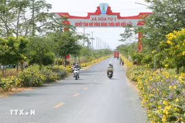 Camino a la nueva comuna rural modelo Hoa Tu 1 en la antigua provincia de Soc Trang. (Foto: VNA)