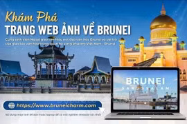La Embajada de Vietnam en Brunei lanza un sitio web de fotografías con la dirección electrónica Bruneicharm.com (Fuente: Embajada de Vietnam en Brunei)