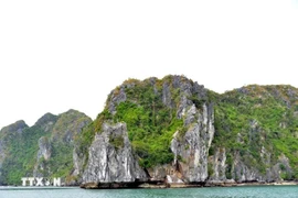 Parte de la Bahía de Ha Long (Fuente: VNA)