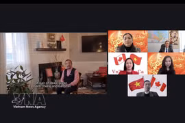 Representantes de asociaciones vietnamitas en Canadá participaron en el programa en línea del Festival de Primavera (Fuente: VNA)