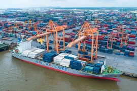 Una parte del puerto de Hai Phong (Fuente: VNA)