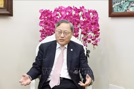 Zhang Jianguo, ex director de la Sección de Europa Occidental del Departamento de Enlace de Relaciones Exteriores del Partido Comunista de China (Fuente: VNA)