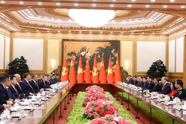 El secretario general del PCCh y presidente de China, Xi Jinping, sostiene conversaciones con el secretario general del Partido Comunista de Vietnam y presidente del país, To Lam (Fuente: VNA)