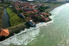 Casas dañadas por la abrasión en la costa norte, aldea de Sidaharja en Java Central (Foto: Antara)