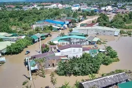 Las comunas de Ea Rok, Ea Bung y Ea Sup en la provincia de Dak Lak quedaron sumergidas por las inundaciones. (Foto: VNA)