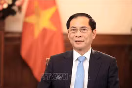 El viceprimer ministro y canciller Bui Thanh Son (Fuente: VNA) 