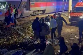 El grave accidente entre dos trenes de alta velocidad ocurrió en la provincia de Córdoba (Fuente: VNA)