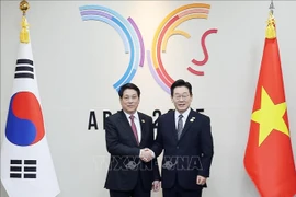 El presidente de Vietnam, Luong Cuong (izquierda), y su homólogo de Corea del Sur, Lee Jae Myung (Fuente: VNA)