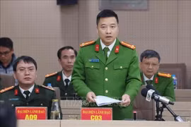 La policía de Vietnam ha iniciado oficialmente una investigación contra otros cinco ex líderes de las provincias norteñas de Phu Tho y Vinh Phuc (Fuente: VNA)