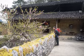 Una casa tradicional hmong en la provincia de Ha Giang. Foto: VNA.