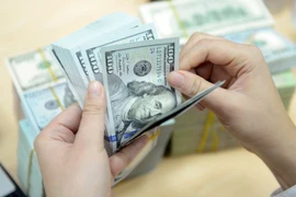 Banco Estatal de Vietnam eleva la meta de crecimiento crediticio para 2025