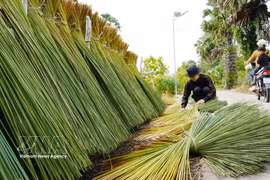 An Giang transforma el junco de sus zonas fronterizas en artesanías