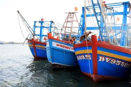 Barcos pesqueros en Dong Thap (Fuente: VNA)