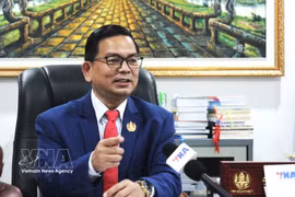 El doctor Kin Phea, director general del Instituto de Relaciones Internacionales de Camboya (Fuente: VNA)