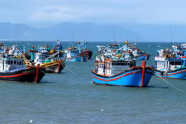 Ciudad Ho Chi Minh implementa el mes de acción intensiva contra la pesca ilegal (Fuente: VNA)