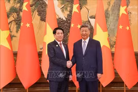 El presidente de Vietnam, Luong Cuong (izquierda) y el secretario general del Partido Comunista de China y presidente de ese país, Xi Jinping (Fuente: VNA)