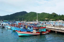 Barcos pesqueros en Phu Quoc (Fuente: VNA)