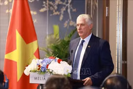 El primer secretario del Comité Central del Partido Comunista de Cuba y presidente de la República, Miguel Díaz-Canel Bermúdez (Fuente: VNA)