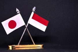 Foto ilustrada (Fuente: tempo.co)