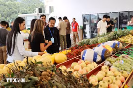 En la zona fronteriza se venden numerosos tipos de frutas vietnamitas, como el durián y la maracuyá. (Foto: VNA)