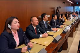 Delegados vietnamitas en la cita (Fuente: VNA)