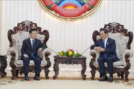 El viceprimer ministro Ho Duc Phoc se reúne con el primer ministro laosiano Sonexay Siphandone. Foto: VNA