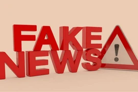 Foto ilustrativa (Fuente: VNA)