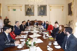 El secretario general del PCV y presidente de Vietnam, To Lam, y el presidente irlandés Michael Higgins mantuvieron conversaciones en Dublín, Irlanda, el 2 de octubre de 2024. (Fuente: VNA)