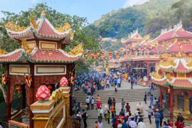  Viajes primaverales en el Sur de Vietnam: peregrinaciones, ocio y disfrute del ambiente de comienzos de año