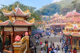  Viajes primaverales en el Sur de Vietnam: peregrinaciones, ocio y disfrute del ambiente de comienzos de año