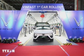 Vehículos eléctricos producidos en la planta de VinFast en India. (Foto: VNA)