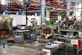 Foto ilustrativa (Fuente: VNA)