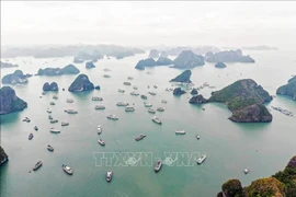 Barcos turísticos en la Bahía de Ha Long (Fuente: VNA) 