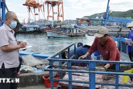 Las autoridades supervisan el proceso de llegada del pescado al puerto. (Foto: VNA)