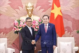 El presidente del Parlamento vietnamita, Tran Thanh Man, recibe al embajador de Indonesia, Denny Abdi (Fuente: VNA)
