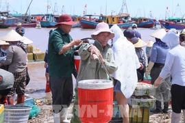 La norteña provincia vietnamita de Ninh Binh intensifica sus esfuerzos para implementar las directivas del Gobierno sobre la lucha contra la pesca ilegal (Fuente: VNA)