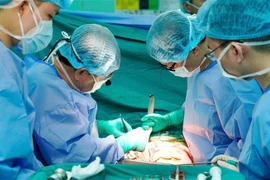 Los médicos y enfermeras del Hospital Universitario de Medicina y Farmacia de Ciudad Ho Chi Minh realizan la extracción y el trasplante de órganos (Fuente: VNA)