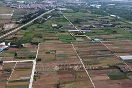 Foto ilustrada (Fuente: VNA) 