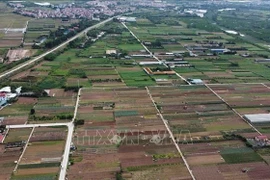 Foto ilustrada (Fuente: VNA) 