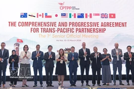 Los jefes de delegación que asisten a la sesión posan para una foto de grupo. Foto: VNA