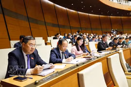 Los delegados en la cita (Fuente: VNA)