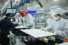 Las instalaciones de producción de la empresa Regza Electronics Vietnam en la provincia de Dong Nai. Foto: VNA